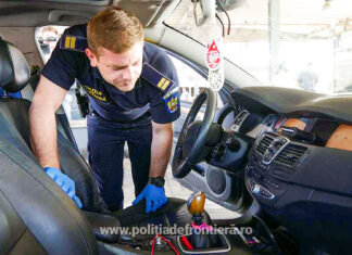 Festivalul Untold mărește numărul de acţiuni preventive în sistem integrat derulate în punctele de frontieră din vestul ţării