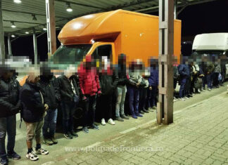 Trei călăuze arestate preventiv și 52 de cetățeni străini depistați în două autoutilitare la SPF Petea