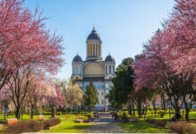 Câte orașe și comune ar pierde județul Satu Mare dacă s-ar face reorganizarea teritorială în funcție de locuitori?