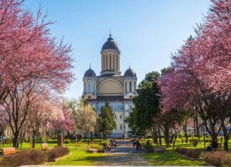 Câte orașe și comune ar pierde județul Satu Mare dacă s-ar face reorganizarea teritorială în funcție de locuitori?